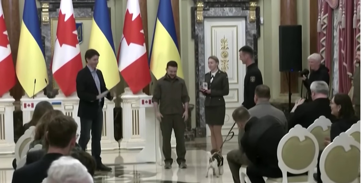Președintele Zelenski a acordat o medalie cățelului ales să detecteze minele în Ucraina, de la invazia Rusiei