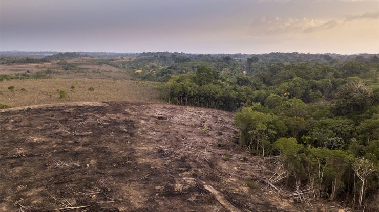 amazonia-defrisari