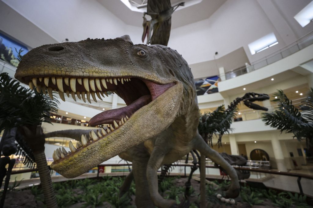Cel mai mare dino-park din lume s-a deschis în Brazilia. The Land of Dinos” se întinde pe o rezervație ecologică de 1,5 milioane de metri pătrați