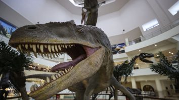 Cel mai mare dino-park din lume s-a deschis în Brazilia. „The Land of Dinos” se întinde pe o rezervație ecologică de 1,5 milioane de metri pătrați