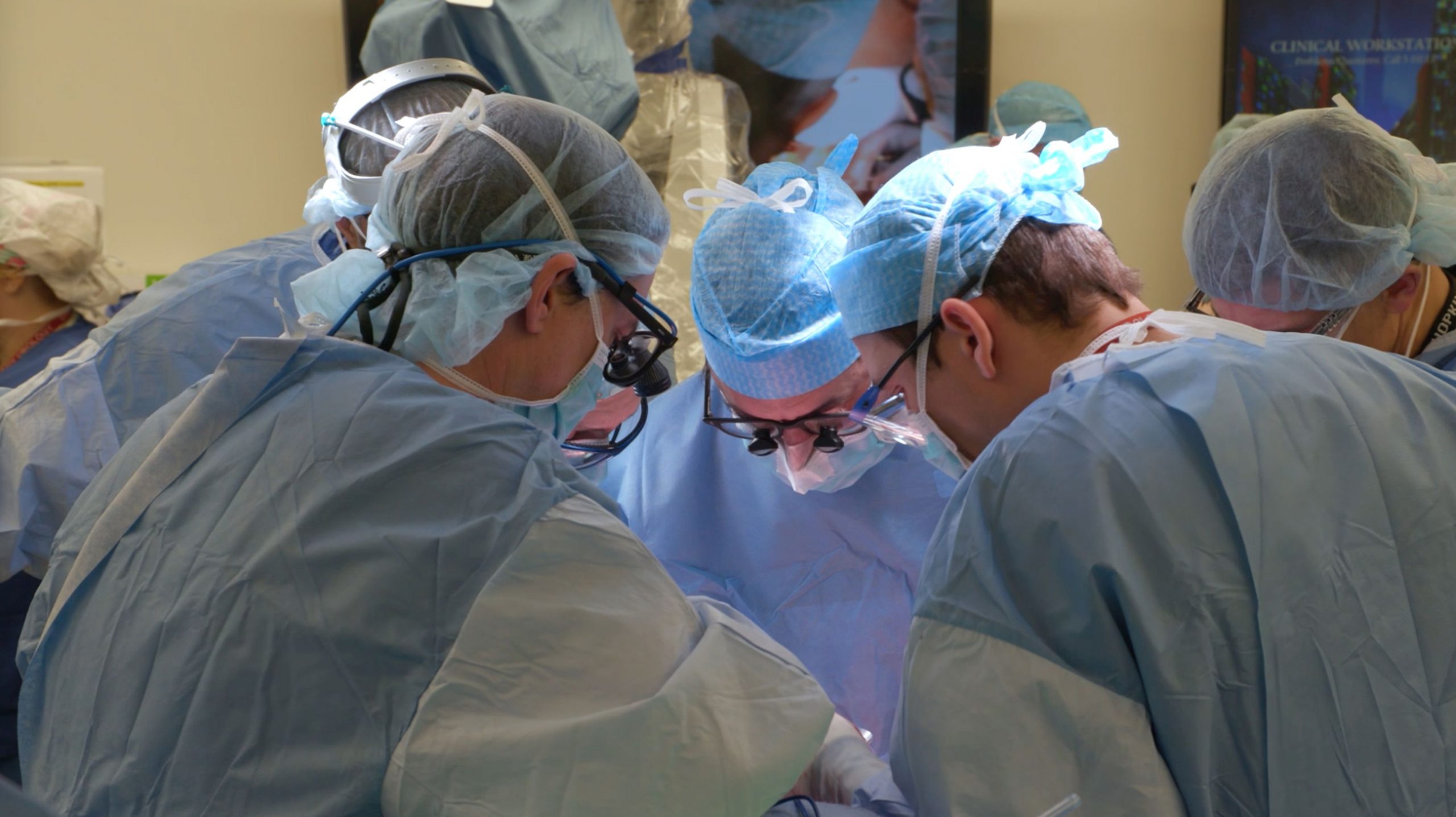 Tg операция z. Трансплантация половых органов. Самая долгая операция в мире.