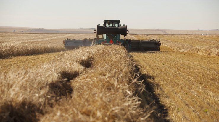 Interzicerea exporturilor de alimente, din India până în Argentina, riscă să alimenteze inflaţia