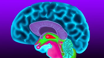 20 de modalități de a vă îmbunătăți sănătatea creierului și de a evita Alzheimer