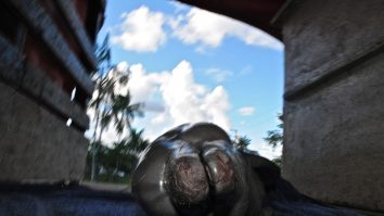 Peste 100 de delfini au murit pe coasta turcească a Mării Negre de la începutul războiului