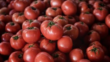 Roșiile modificate genetic ar putea fi o nouă sursă de vitamina D