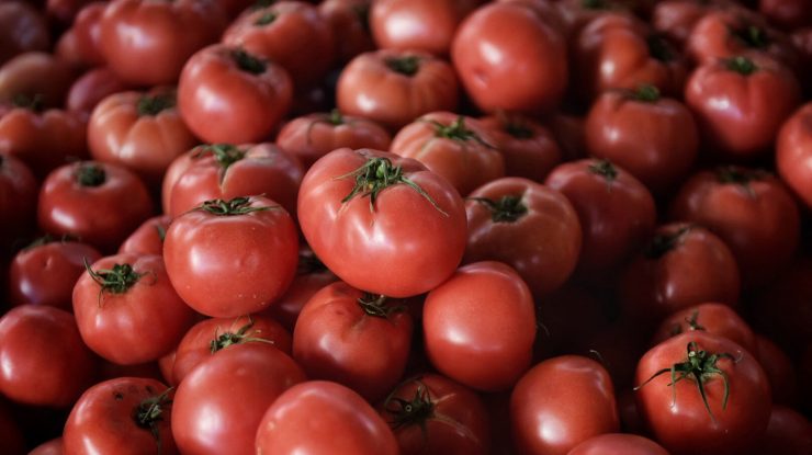 Roșiile modificate genetic ar putea fi o nouă sursă de vitamina D