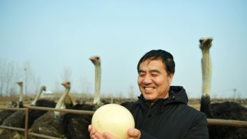 STUDIU. Primii oameni din Australia au mâncat din ouăle unor păsări uriașe