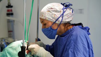 Elveția a aprobat prin referendum donarea de organe fără consimțământ pentru persoanele decedate