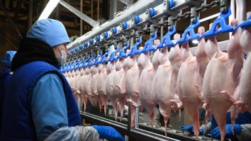 STUDIU. De ce mănâncă oamenii atât de multă carne?