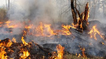 Pădurile siberiene continuă să ardă în Rusia