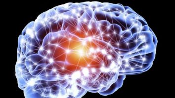 Specialiștii în neuroștiințe au identificat neuronii responsabili de monitorizarea performanței la oameni