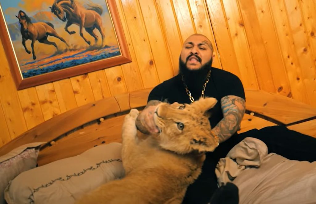 Dani Mocanu apare, din nou, alături de un leu în videoclip