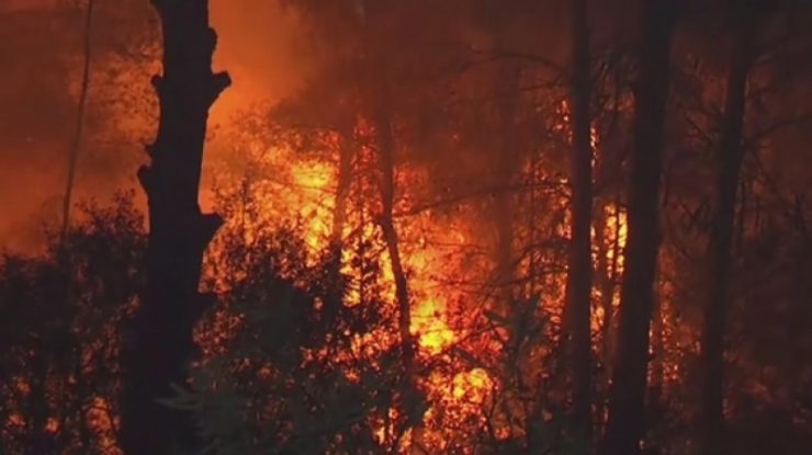 Un incendiu de vegetație din New Mexico arde pe un pământ sacru și a distrus sate vechi de secole