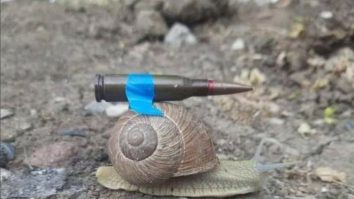 Ambasadorul Ucrainei la Berlin compară Germania cu un melc: „Armele sunt deja pe drum”