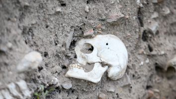 Oamenii de știință au reconstruit chipul unui băiat „singuratic” care a murit într-o peșteră în Norvegia acum 8.300 de ani