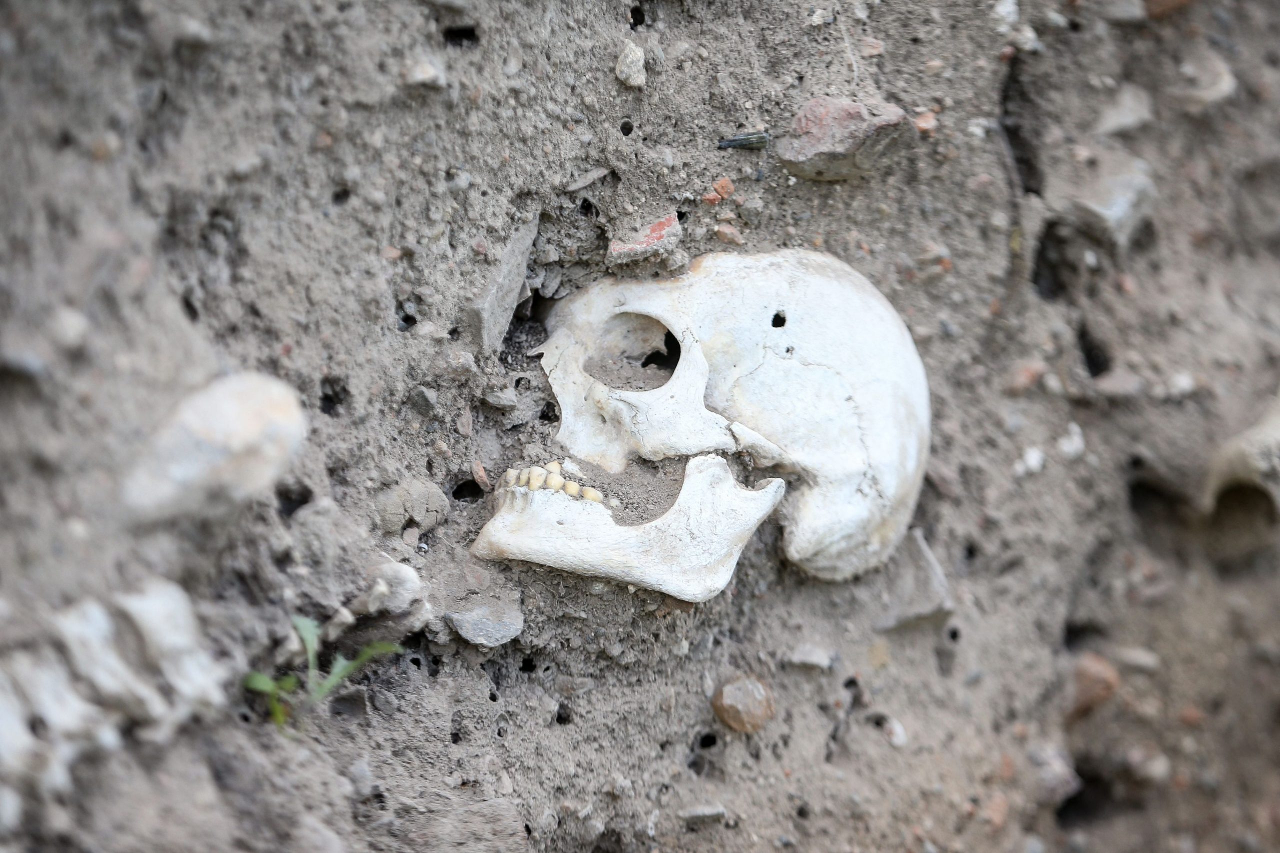 Oamenii de știință au reconstruit chipul unui băiat „singuratic” care a murit într-o peșteră în Norvegia acum 8.300 de ani