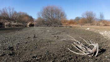 Cea mai gravă secetă din ultimii 40 de ani ar putea înfometa 20 de milioane de africani