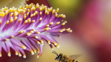 Un laborator din Bulgaria are ambiția de a deveni cel mai mare centru de bioprotecţie a recoltelor din UE