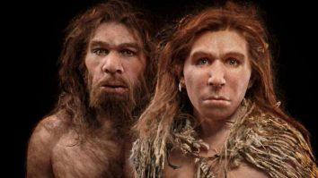 o femeie homo sapiens și un bărbat Neanderthal