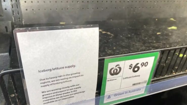 Penuria de fructe și legume va continua în Australia săptămâni întregi din cauza inundațiilor