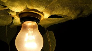 Iluminatul artificial a fost inventat în secolul al XIX-lea, dar știm cât de mult dăunează sănătății noastre?