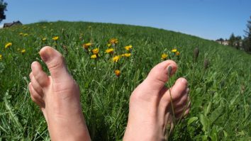 Câți pași ar trebui să faci zilnic ca să ai o viață lungă?