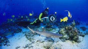 Noi roboți oceanici ar putea să ne ajute să descoperim lumea din adâncuri