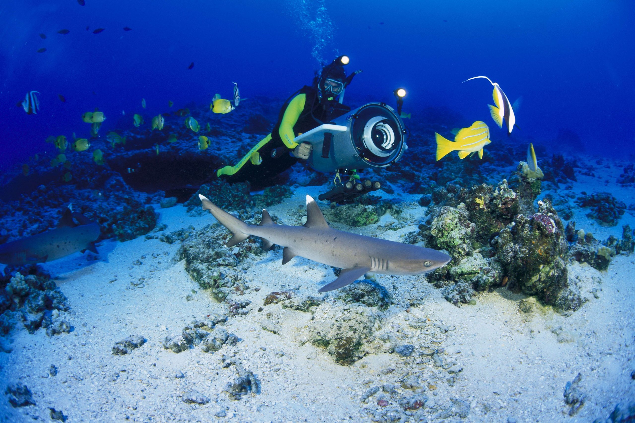 Noi roboți oceanici ar putea să ne ajute să descoperim lumea din adâncuri