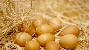 Petele roșii din ouăle crude