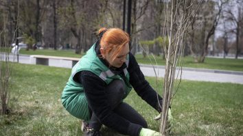 Plantăm fapte bune în România: 445.000 de puieți plantați în sezonul de primăvară