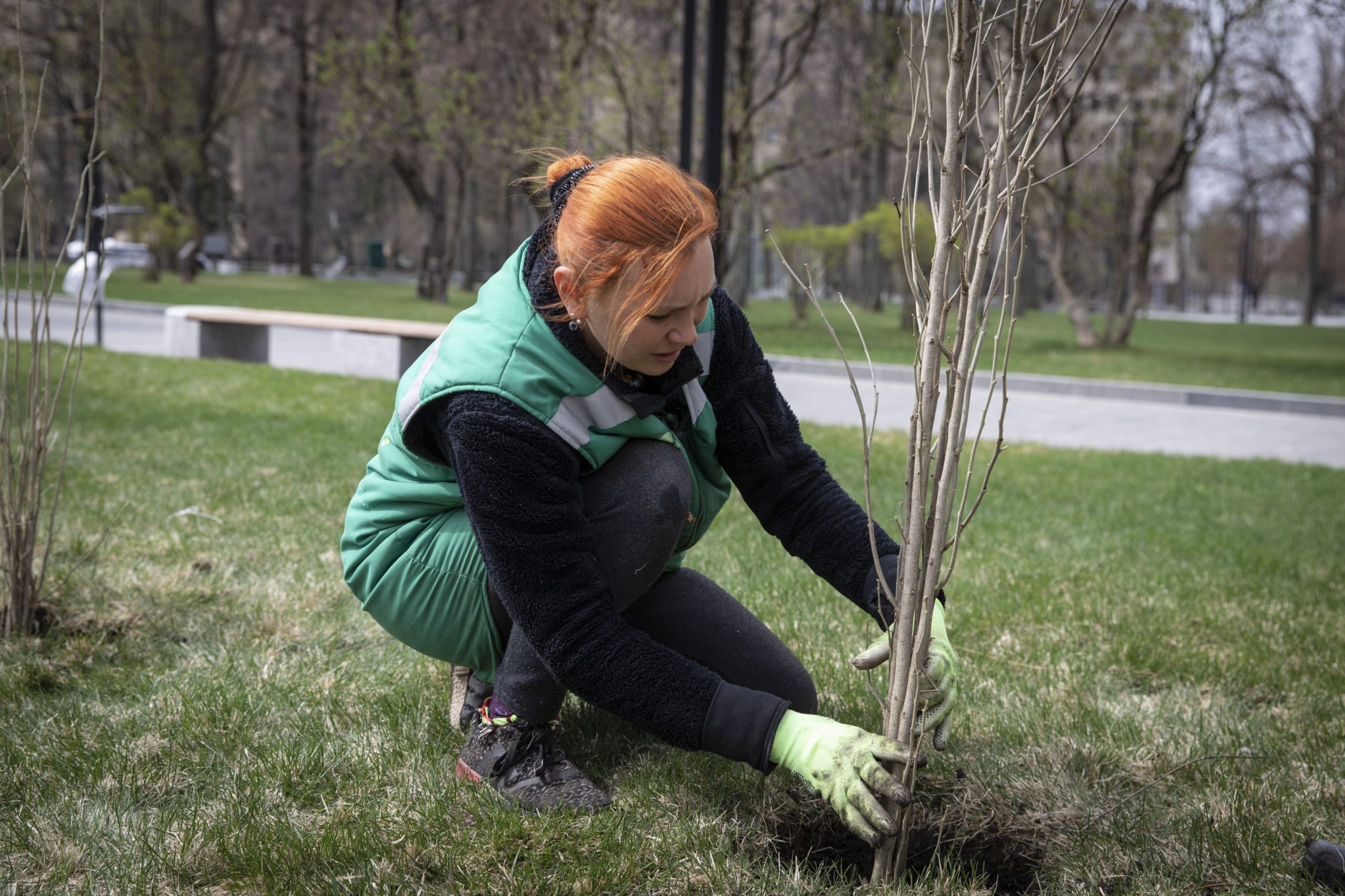 Plantăm fapte bune în România: 445.000 de puieți plantați în sezonul de primăvară