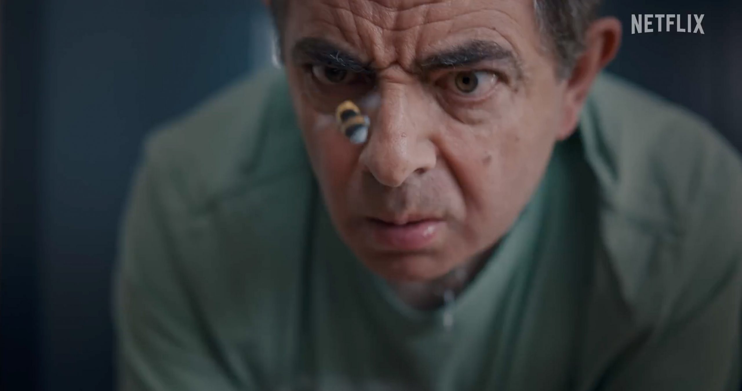 мистер бин против. человек против пчелы сериал 2022. роуэн аткинсон сериалы 2022. мистер бин против. мистер бин и пчела.