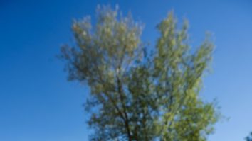 Mesajul ONU de Ziua mondială pentru combatere a deșertificării