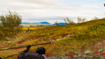 Vechile obiceiuri nu mor niciodată. Carnea de vânat este mai sănătoasă decât cea domestică