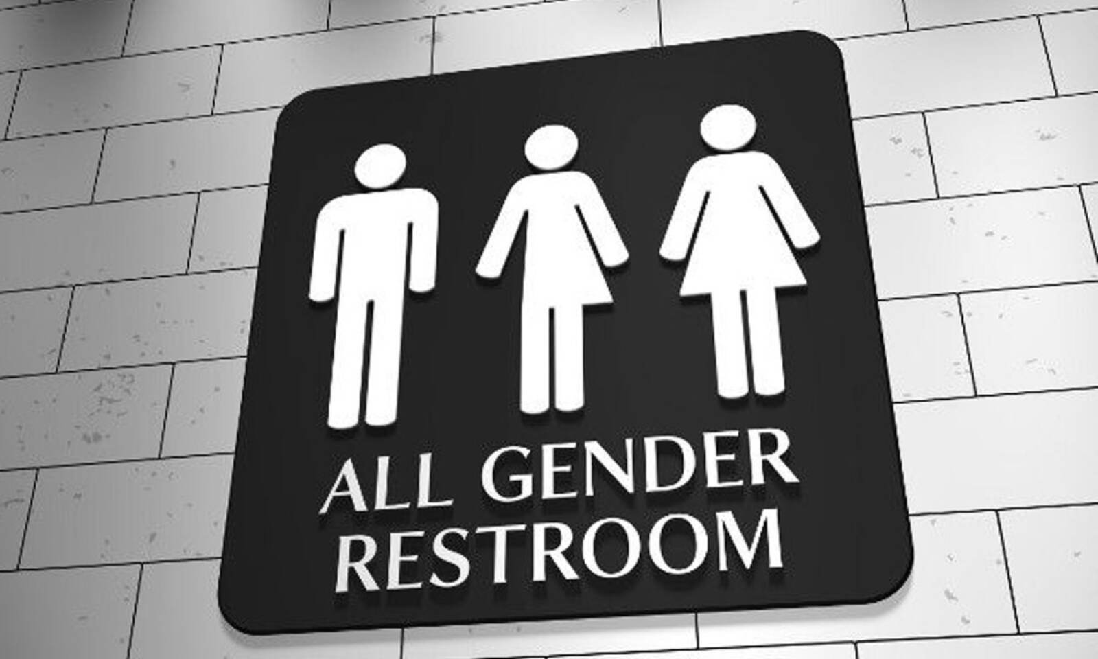 Un judecător blochează regulile lui Biden privind accesul transsexualilor în băi, vestiare și echipe sportive