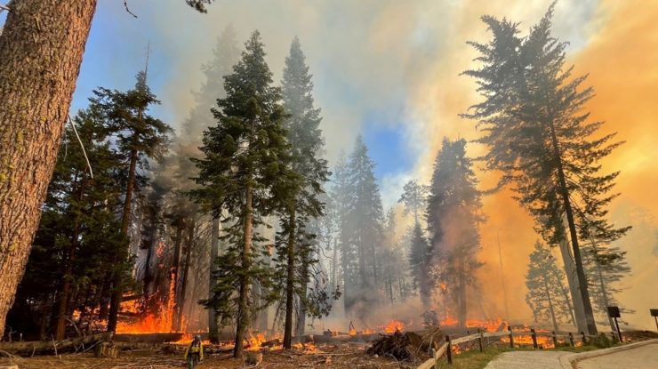 incendii California