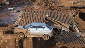 dezastru ecologic Brazilia