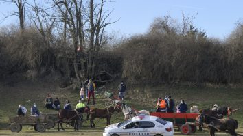 Un bărbat din Suceava a intrat cu căruța într-un magazin, în semn de protest față de Poliție