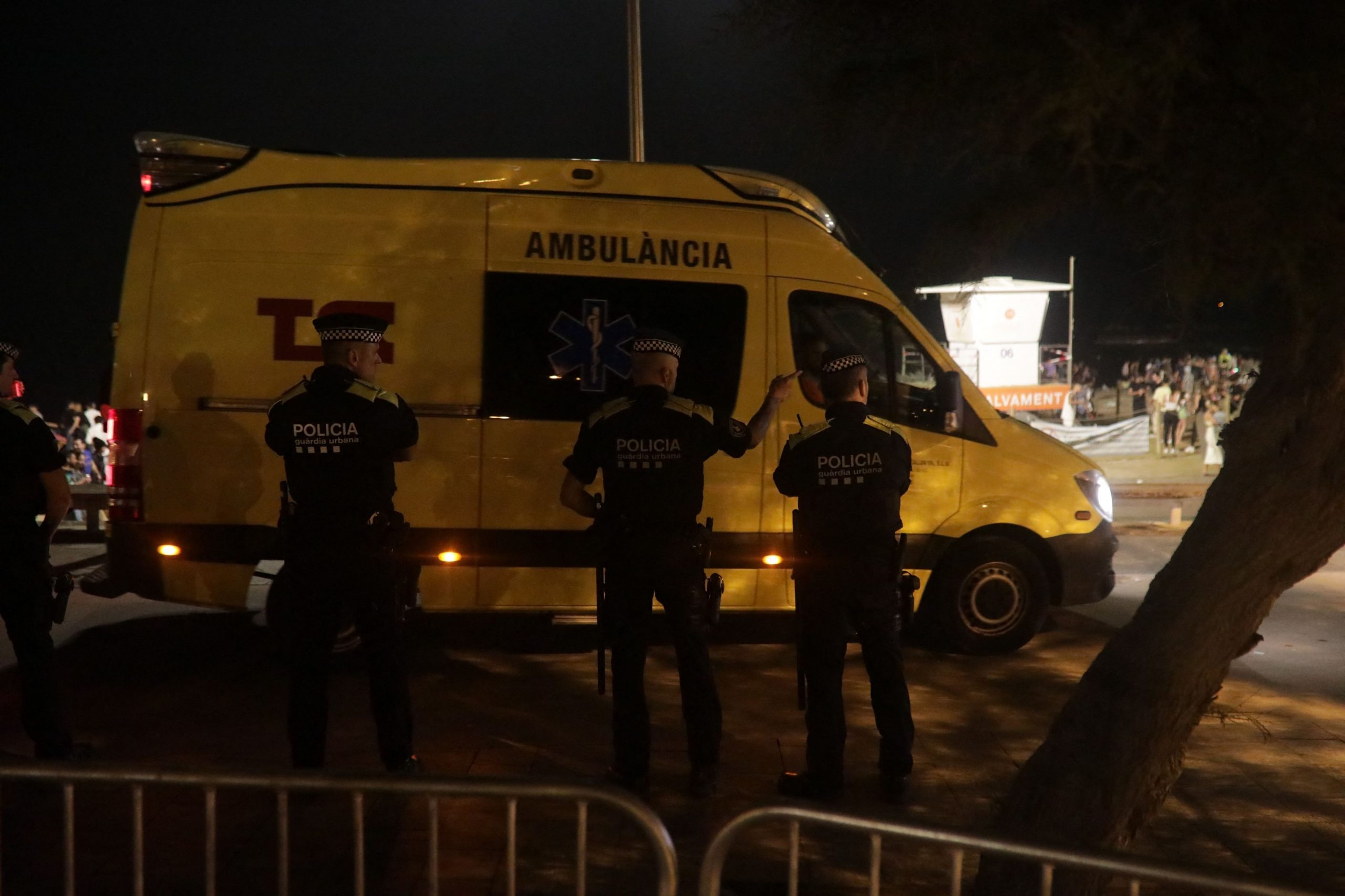 Mii de angajaţi MAI şi sute de agenţi de securitate privaţi asigură măsurile de siguranţă la festivalul Neversea