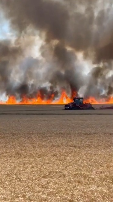 Incendiu în apropiere de Voiteg. 100 de hectare de grâu au fost mistuite de flăcări