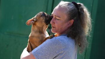 STUDIU. Oamenii sunt mai fericiți atunci când au animale de companie