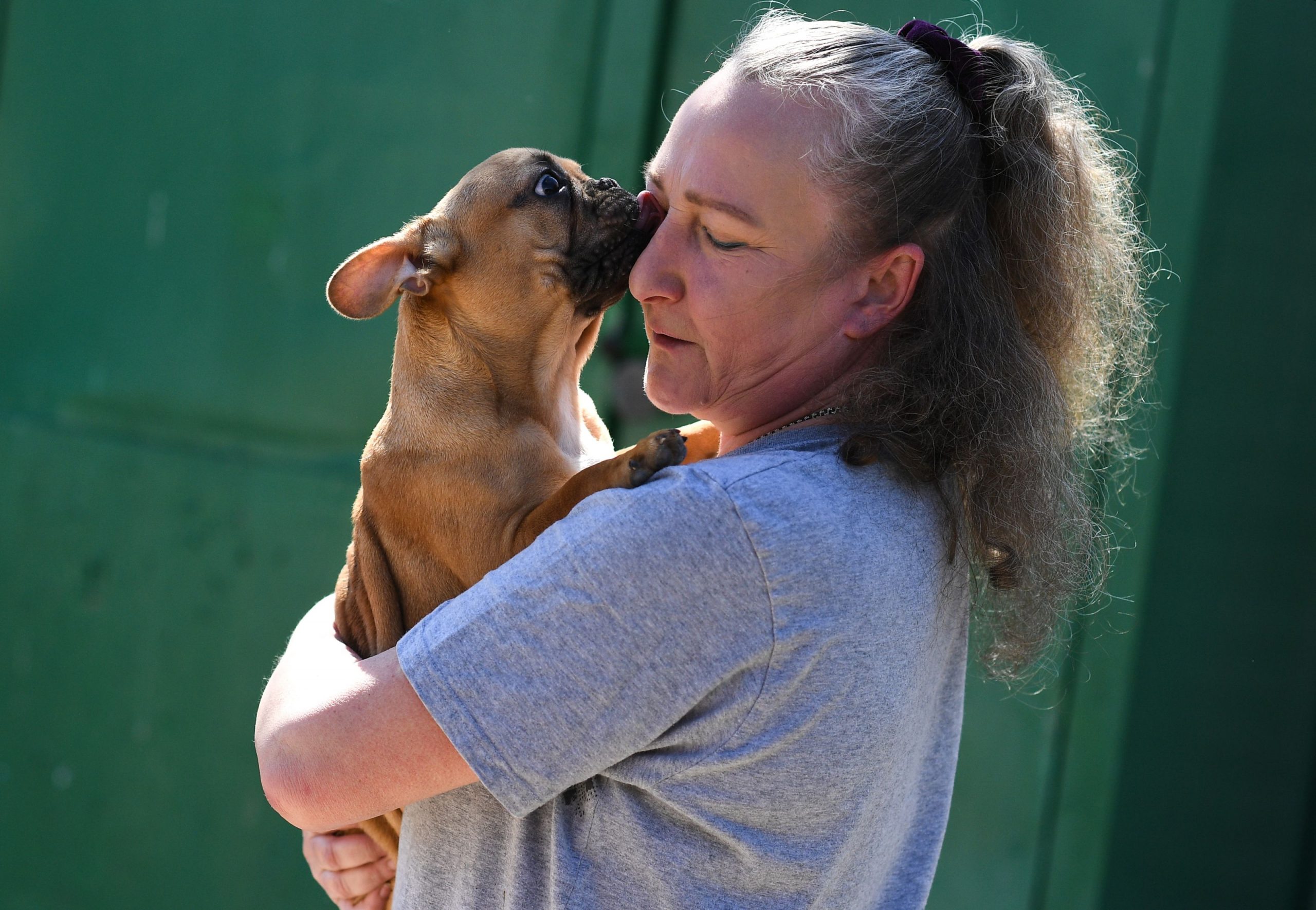 STUDIU. Oamenii sunt mai fericiți atunci când au animale de companie