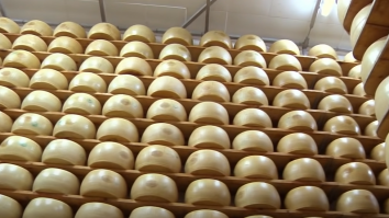 Căldurile extreme din Italia afectează producția faimoasei brânze de renume mondial, Parmigiano Reggiano
