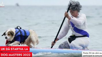 UK a dat startul competiției de surf pentru câini: Dog Masters 2022