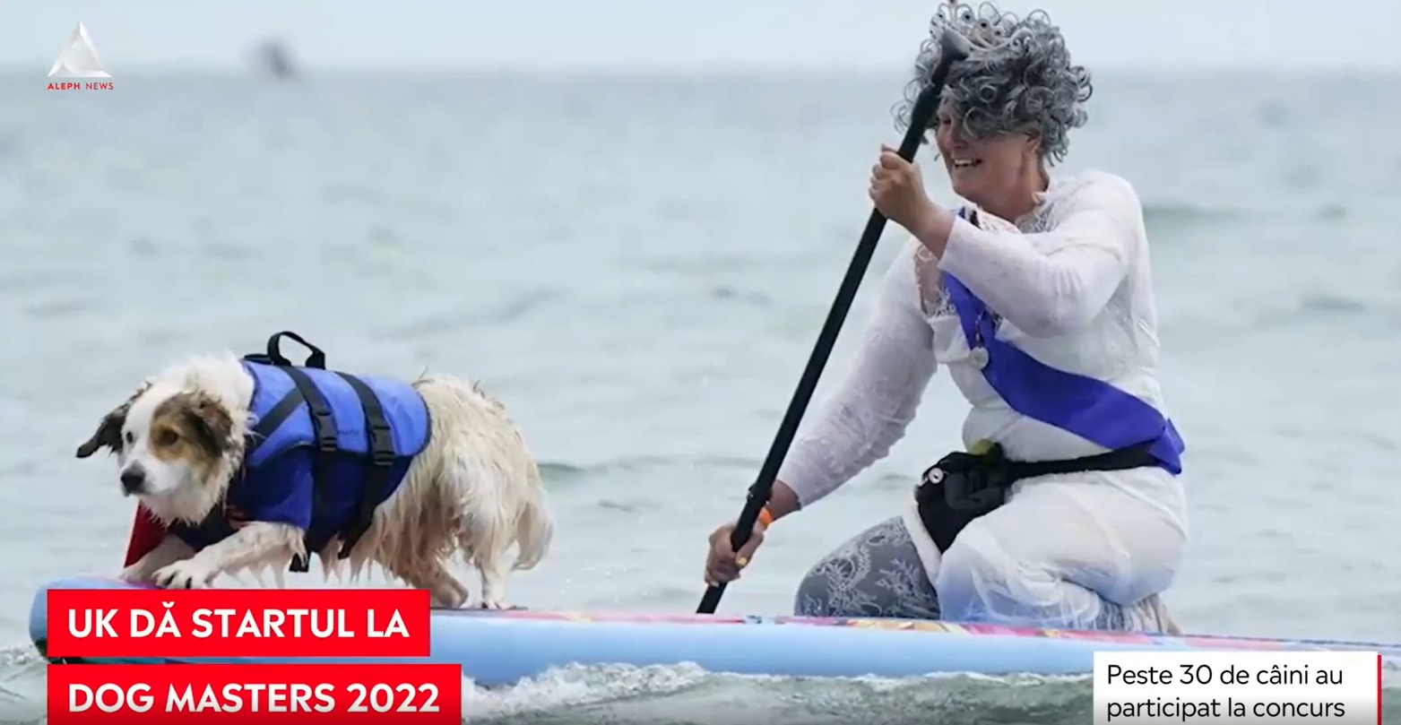 UK a dat startul competiției de surf pentru câini: Dog Masters 2022