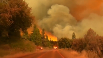 California declară stare de urgență din cauza căldurii extreme. Un incendiu a izbucnit lângă Parcul Național Yosemite