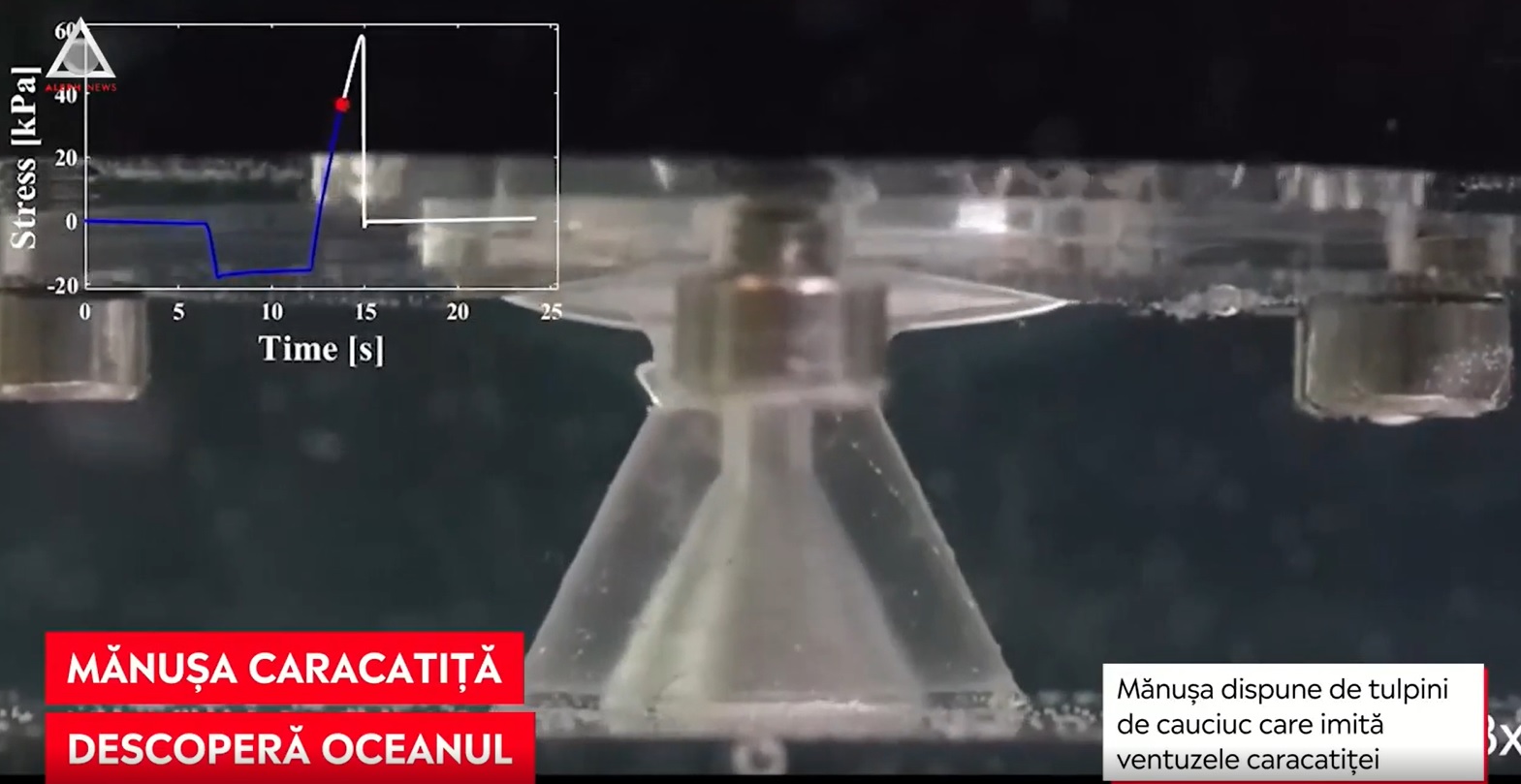 Lumea subacvatică va fi descoperită cu ajutorul unei mănuși inspirată de caracatițe