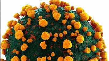 Tot ce știm despre Centaurus, noua variantă Omicron de „a doua generație”, deja detectată în opt țări