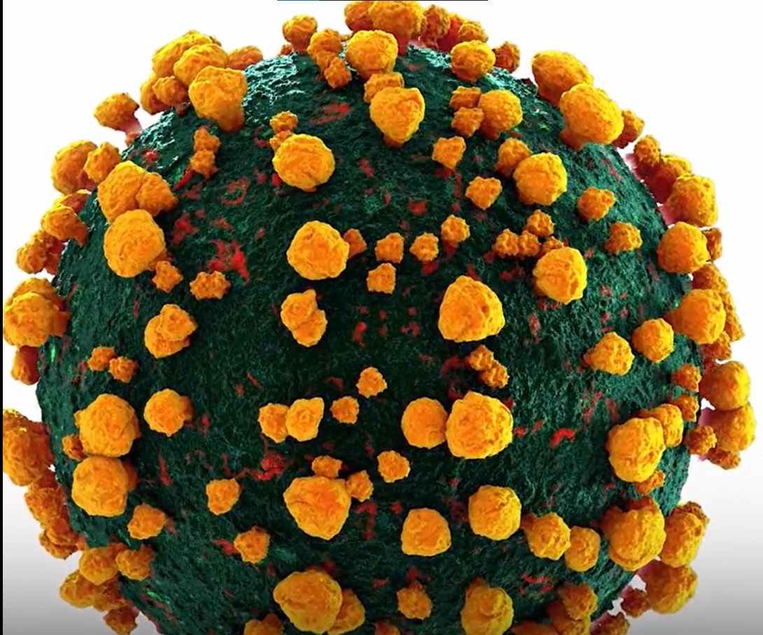 Tot ce știm despre Centaurus, noua variantă Omicron de „a doua generație”, deja detectată în opt țări