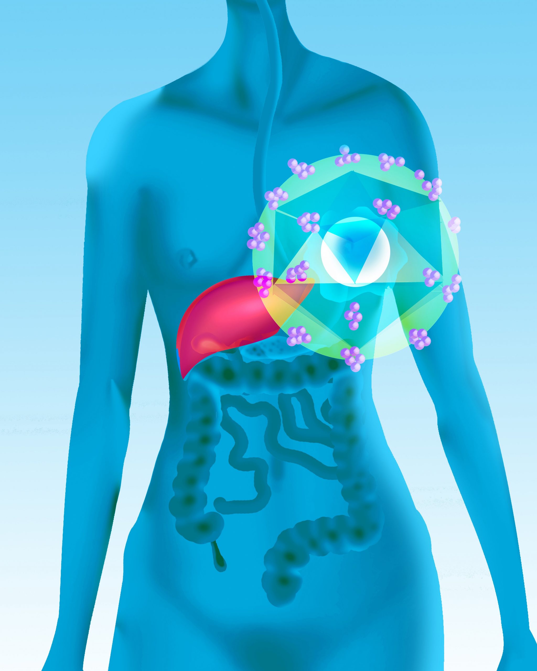 STUDIU. O substanță chimică obișnuită a fost asociată cu cancerul de ficat la om